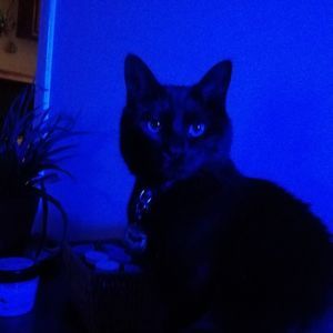 Meet your Posher, Deborah